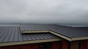 Best Roof Leak Repair  in Palisade, CO